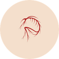 Peavey Road Productions Logo